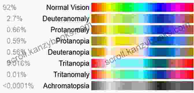 A Diagram Showing The Spectrum Of Vision Loss, Ranging From Normal Vision To Complete Blindness. Blindness: Coping With Vision Loss: From The Perspective Of A Caregiver (Thriving With Blindness)