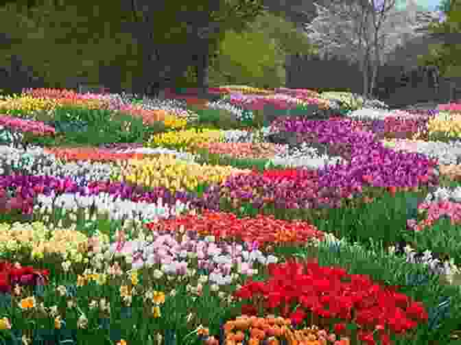 A Picturesque View Of A Lush Garden With Blooming Flowers In New York City Not For Tourists Guide To New York City 2024