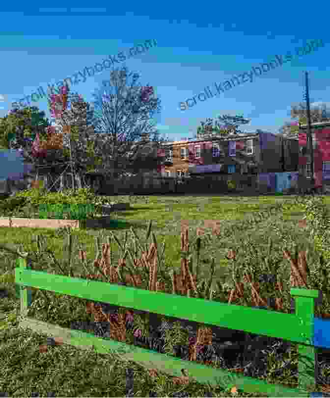 Aerial View Of A Vacant Lot Transformed Into A Garden The Urban Garden: How One Community Turned Idle Land Into A Garden City And How You Can Too