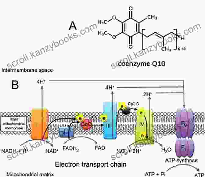 Coenzyme Q10, A Nutrient That Plays A Role In The Production Of Energy In The Mitochondria, Has Shown Promise In Improving Motor Function In Parkinson's. Natural Therapies For Symptoms Of Parkinson S Disease