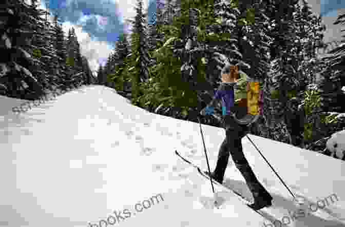 Cross Country Skiing On Mount Hood Day Hiking Mount Hood: A Year Round Guide