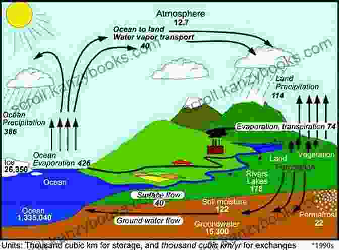 Diagram Of The Water Cycle Drop: An Adventure Through The Water Cycle