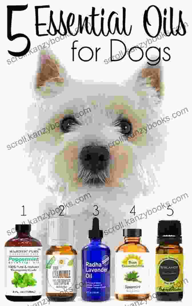 Dog Enjoying Essential Oil Inhalation Essential Oils For Dogs: The Complete Essential Oils Guide For Your Beloved Family Dog Recipes Included (Essential Oils Essential Oils For Dogs Essential Oils For Beginners Essential Oils Guide)