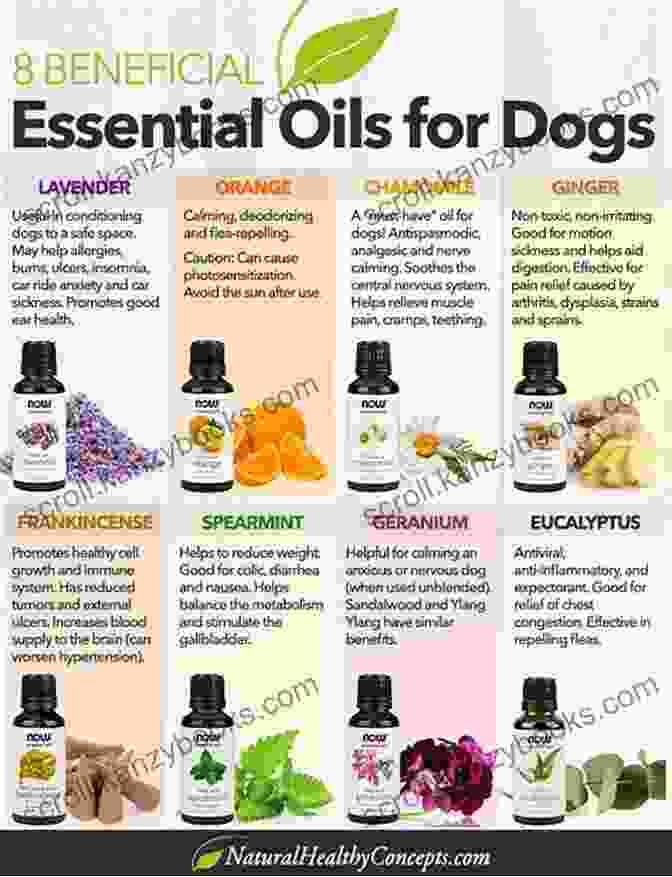 Essential Oils And Dogs Essential Oils For Dogs: The Complete Essential Oils Guide For Your Beloved Family Dog Recipes Included (Essential Oils Essential Oils For Dogs Essential Oils For Beginners Essential Oils Guide)