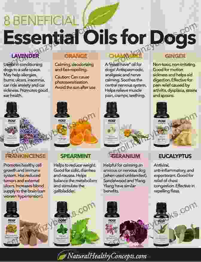 Essential Oils For Dogs Book Essential Oils For Dogs: The Complete Essential Oils Guide For Your Beloved Family Dog Recipes Included (Essential Oils Essential Oils For Dogs Essential Oils For Beginners Essential Oils Guide)