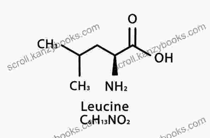 Leucine Molecule Structure The Leucine Factor Diet: The Scientifically Proven Approach To Combat Sugar Burn Fat And Build Muscle