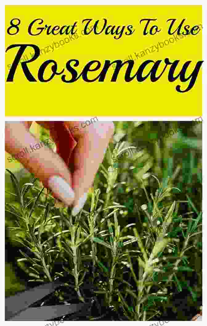 Rosemary Infused Honey The Flavors Of Rosemary: 50 Different Ways To Rosemary