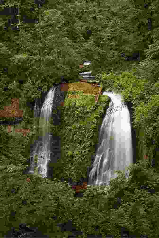 Waterfall On Mount Hood Day Hiking Mount Hood: A Year Round Guide