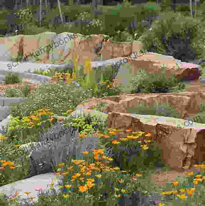 Well Designed Native Plant Garden Featuring A Variety Of Native Species Real Gardens Grow Natives: Design Plant And Enjoy A Healthy Northwest Garden