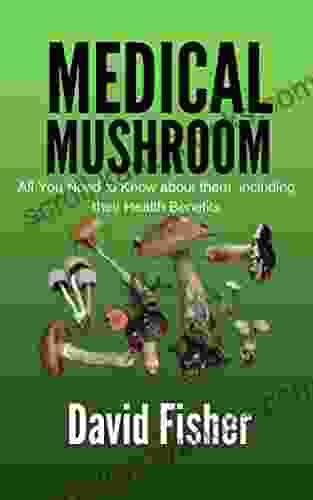 MEDICINAL MUSHROOM: All You Need To Know About Them Including Their Health Benefits