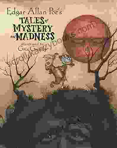 Edgar Allan Poe S Tales Of Mystery And Madness