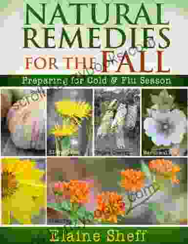 Natural Remedies For The Fall: Preparing For Cold Flu Season