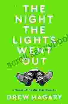 The Night the Lights Went Out: A Memoir of Life After Brain Damage