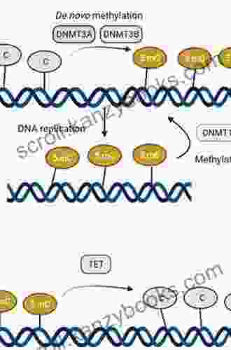 DNA Methylation And Complex Human Disease (Translational Epigenetics)